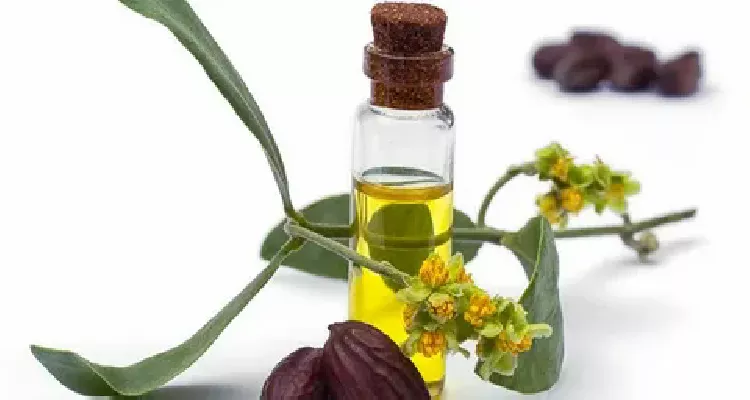 Jojoba oil, a natural product to fight skin aging