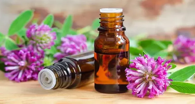Vitex tincture, a powerful medicinal plant that helps female reproductive health by balancing hormones.