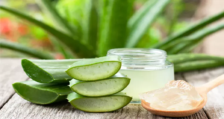 Aloe vera gel, a key ingredient in natural care for women’s intimate health
