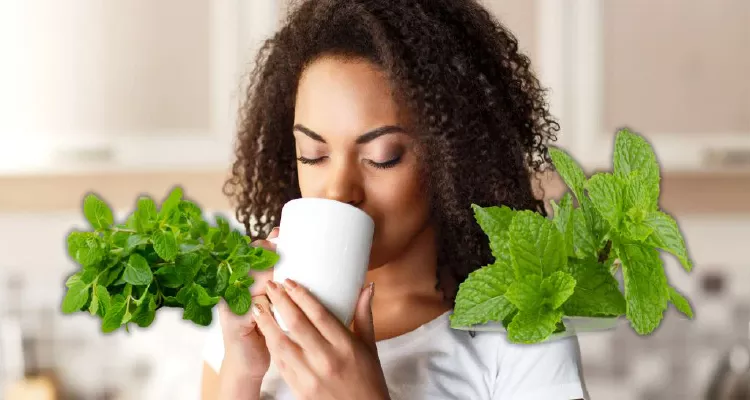 Peppermint tea for natural health sore throat relief
