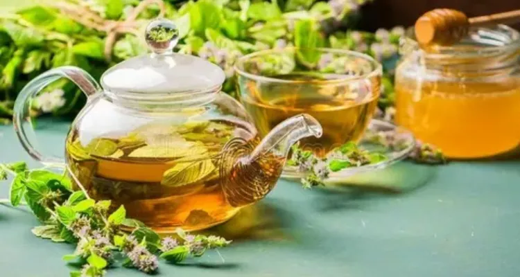 Herbs for therapeutic teas to improve sleep in the elderly, including chamomile and valerian