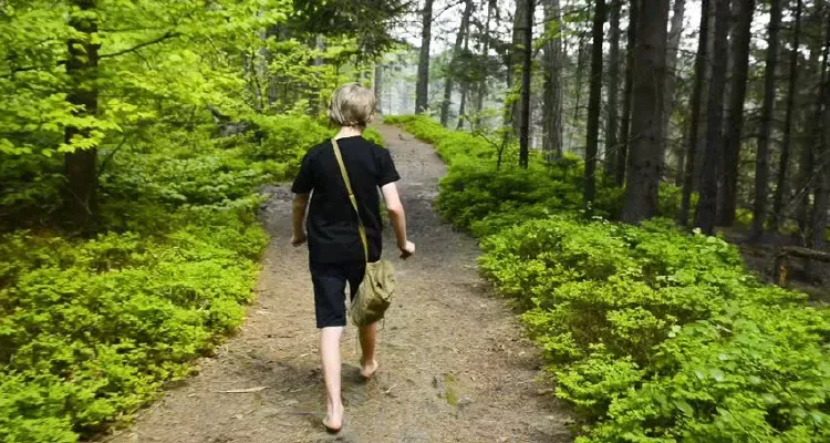 Digital Detox How Unplugging Improves Mental & Physical Health for a Happier You