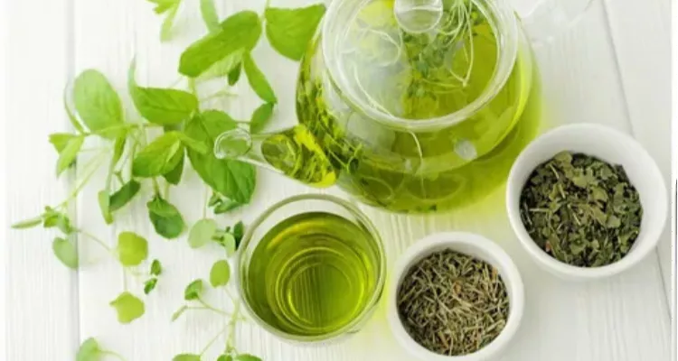 Green Tea What Science Says About Its Antioxidant Power